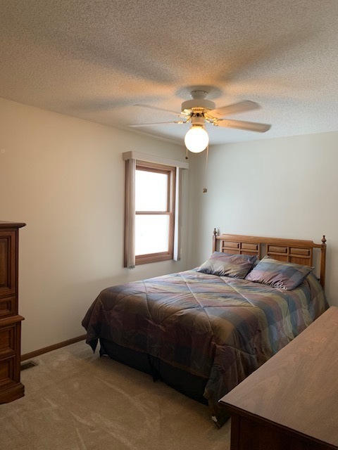 121 Willis Avenue Rochelle, IL 61068 - Photo 22 of 26