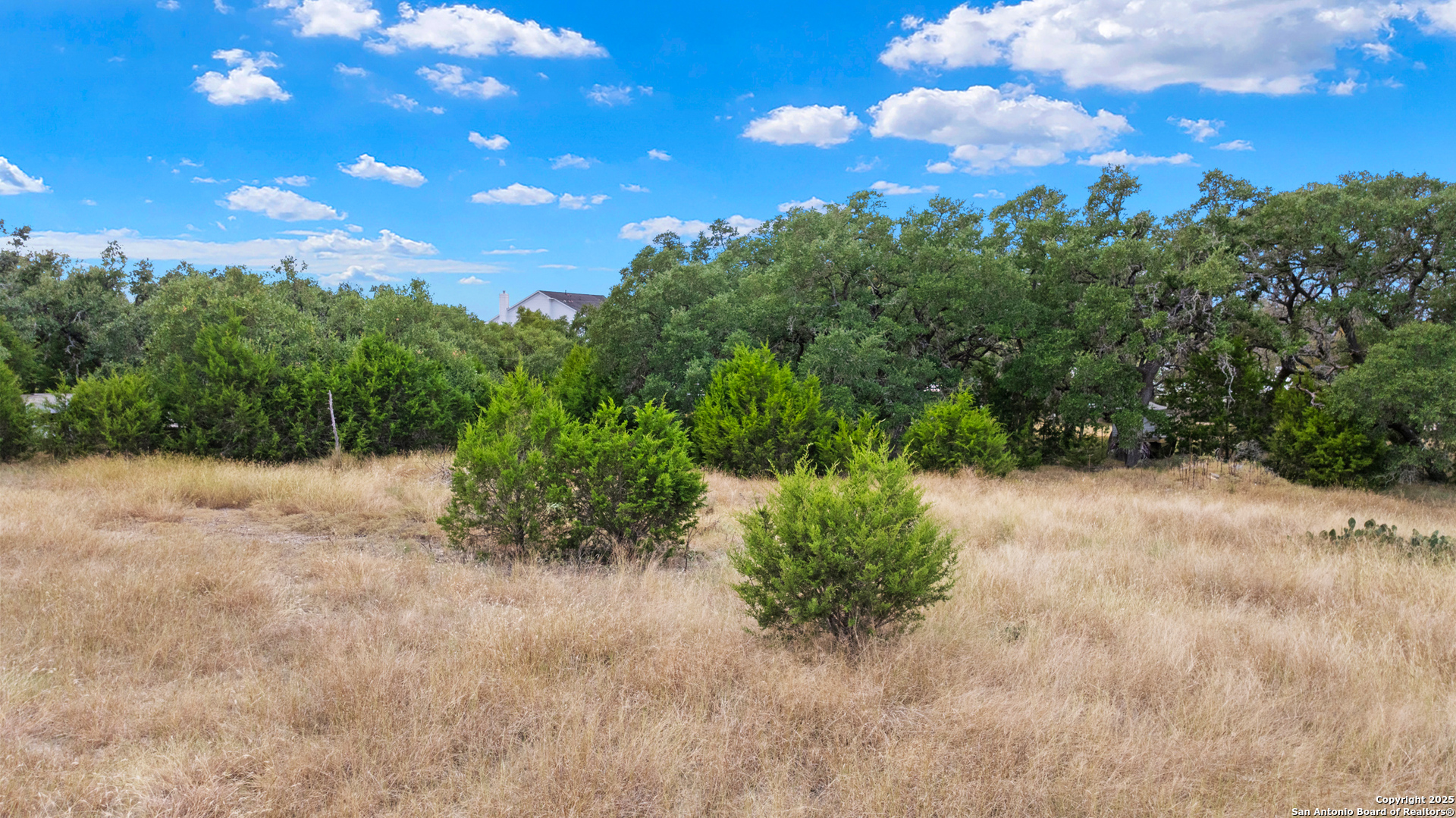 32311 Koch Road Bulverde, TX 78163 - Photo 12 of 14 a view of a yard with plants and a tree