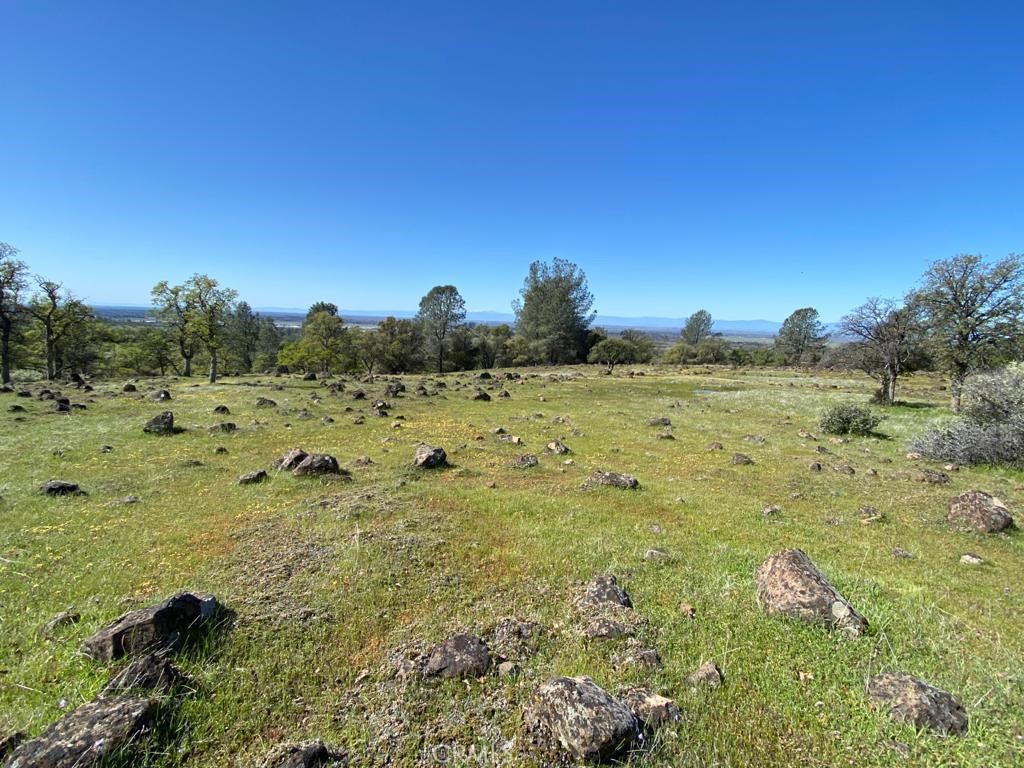 0 Richardson Springs Road Chico, CA 95973 - Photo 5 of 8 a view of a town with trees in the background