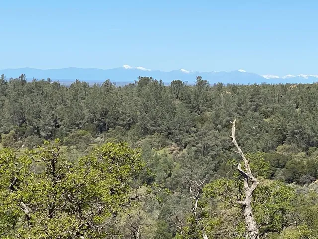 a view of a dry yard with wooden floor and city view