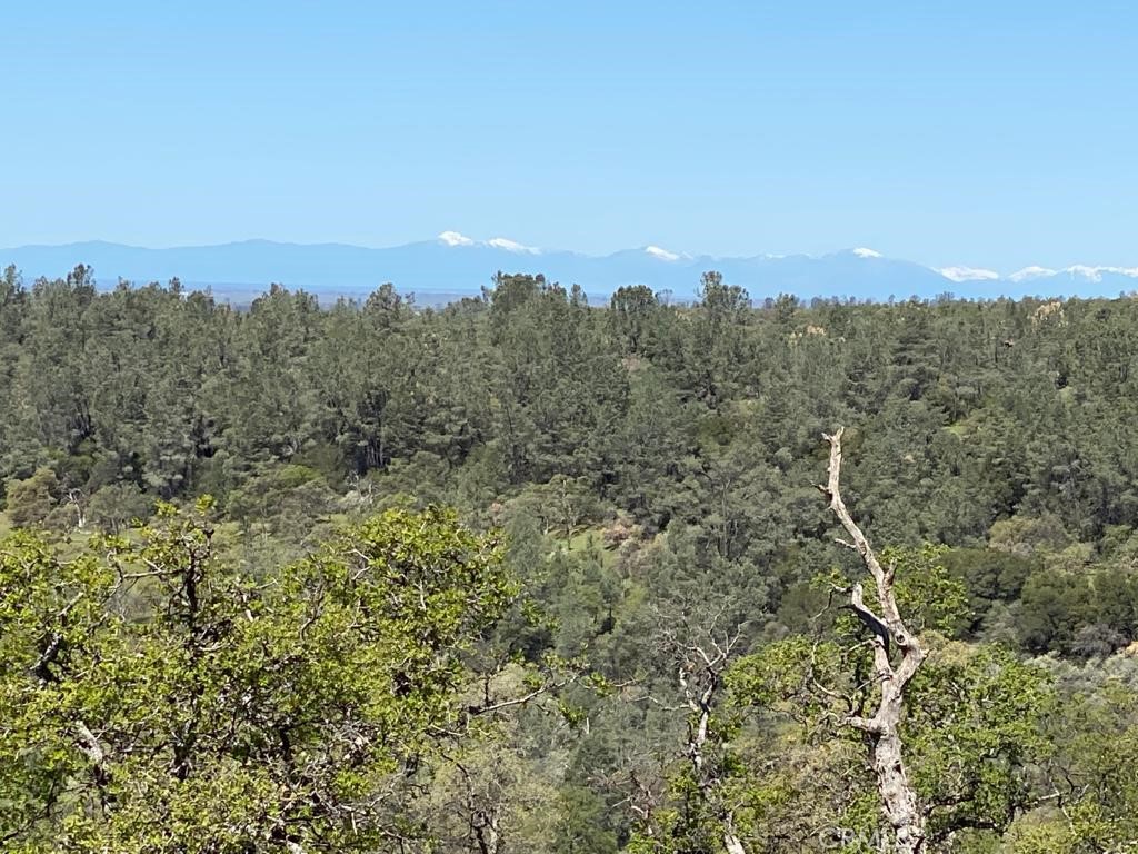 0 Richardson Springs Road Chico, CA 95973 - Photo 7 of 8 a view of a city with lush green forest