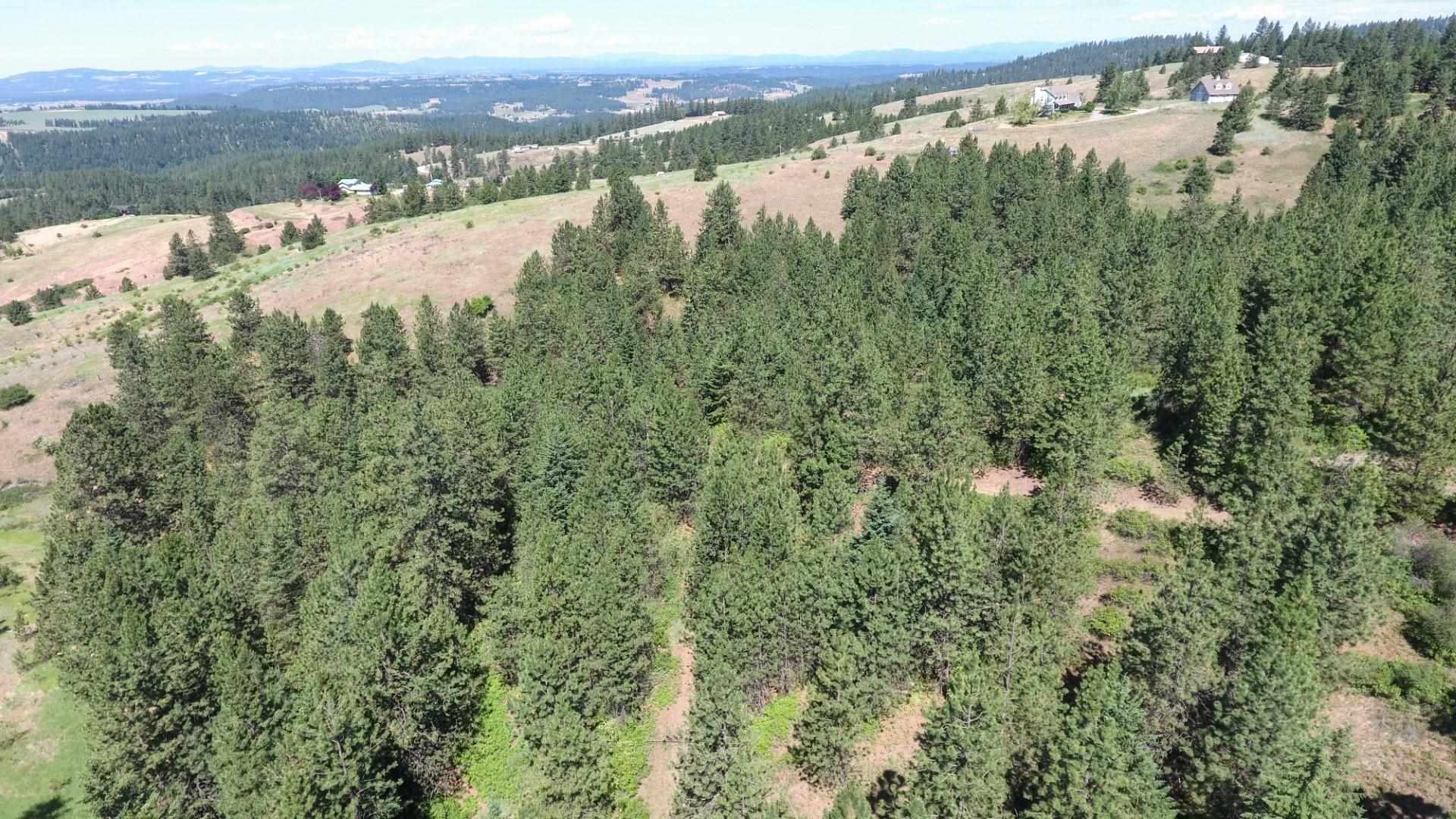 172-xx East Frederick Road Spokane, WA 99217 - Photo 33 of 48 Gallery Image 33