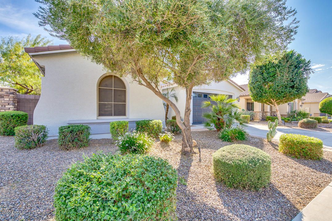 2769 East Rakestraw Lane Gilbert, AZ 85298 - Photo 3 of 38 03-Rakestraw