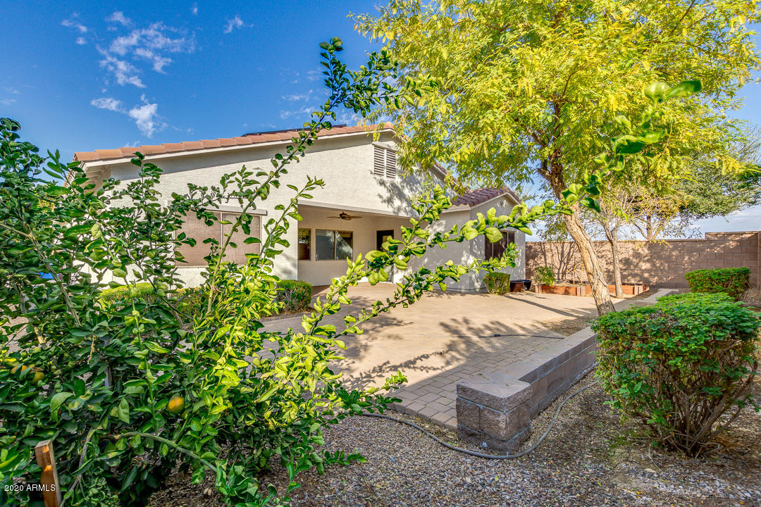 2769 East Rakestraw Lane Gilbert, AZ 85298 - Photo 37 of 38 39-Rakestraw
