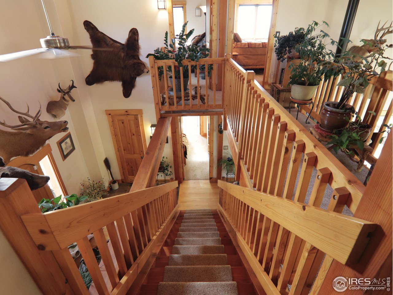 2001 Obenchain Road Laporte, CO 80535 - Photo 30 of 39