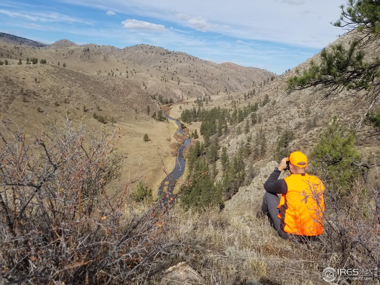 2001 Obenchain Road Laporte, CO 80535 - Photo 36 of 39