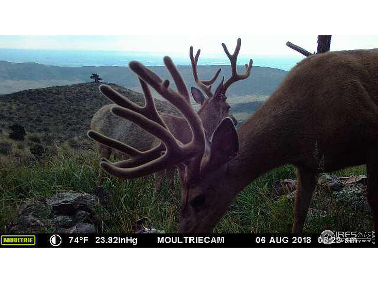 2001 Obenchain Road Laporte, CO 80535 - Photo 37 of 39