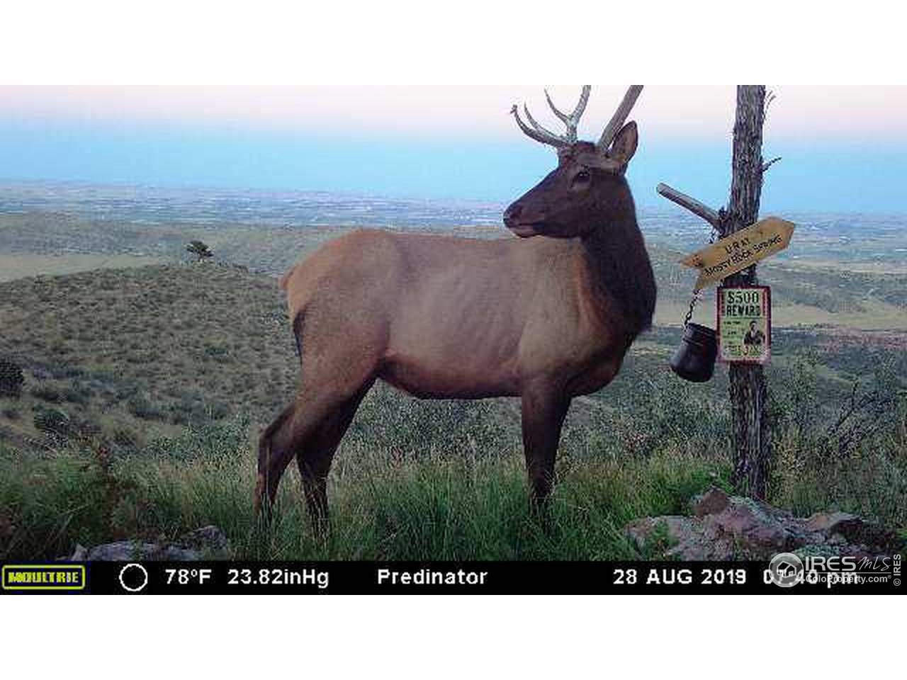 2001 Obenchain Road Laporte, CO 80535 - Photo 38 of 39
