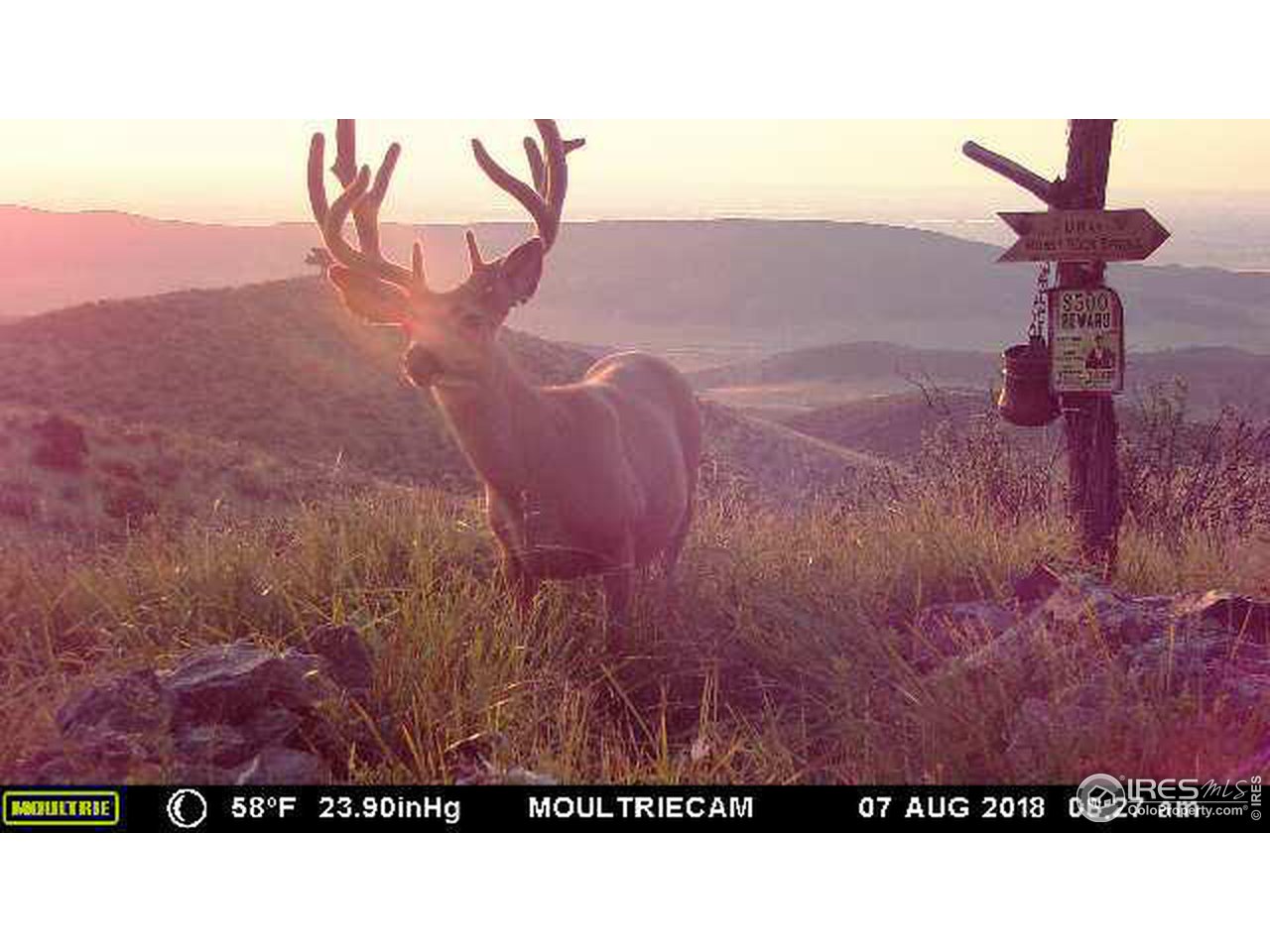 2001 Obenchain Road Laporte, CO 80535 - Photo 6 of 39