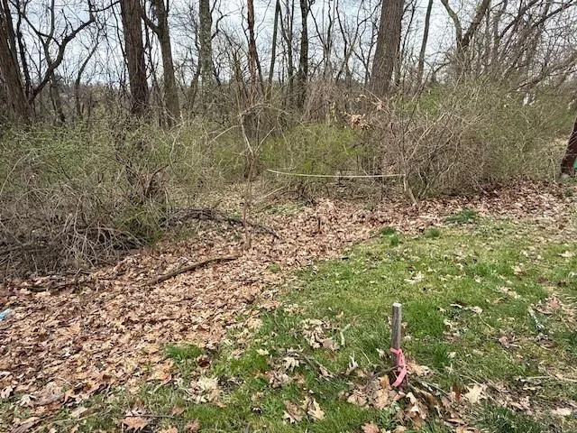 a backyard of a house with lots of green space