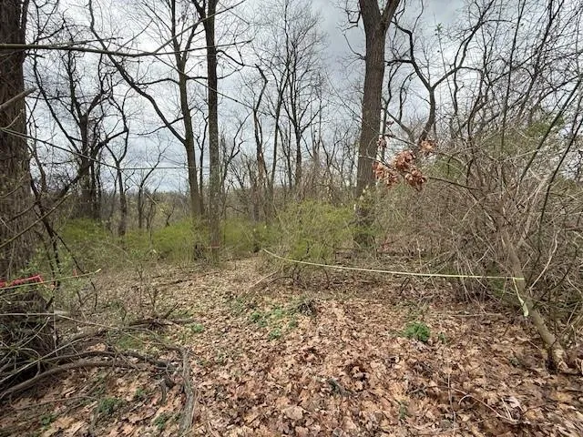 a view of a lake with lots of trees