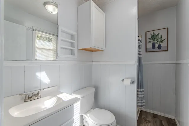 a bathroom with a sink toilet and vanity