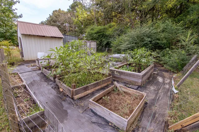 a view of a bench in a yard