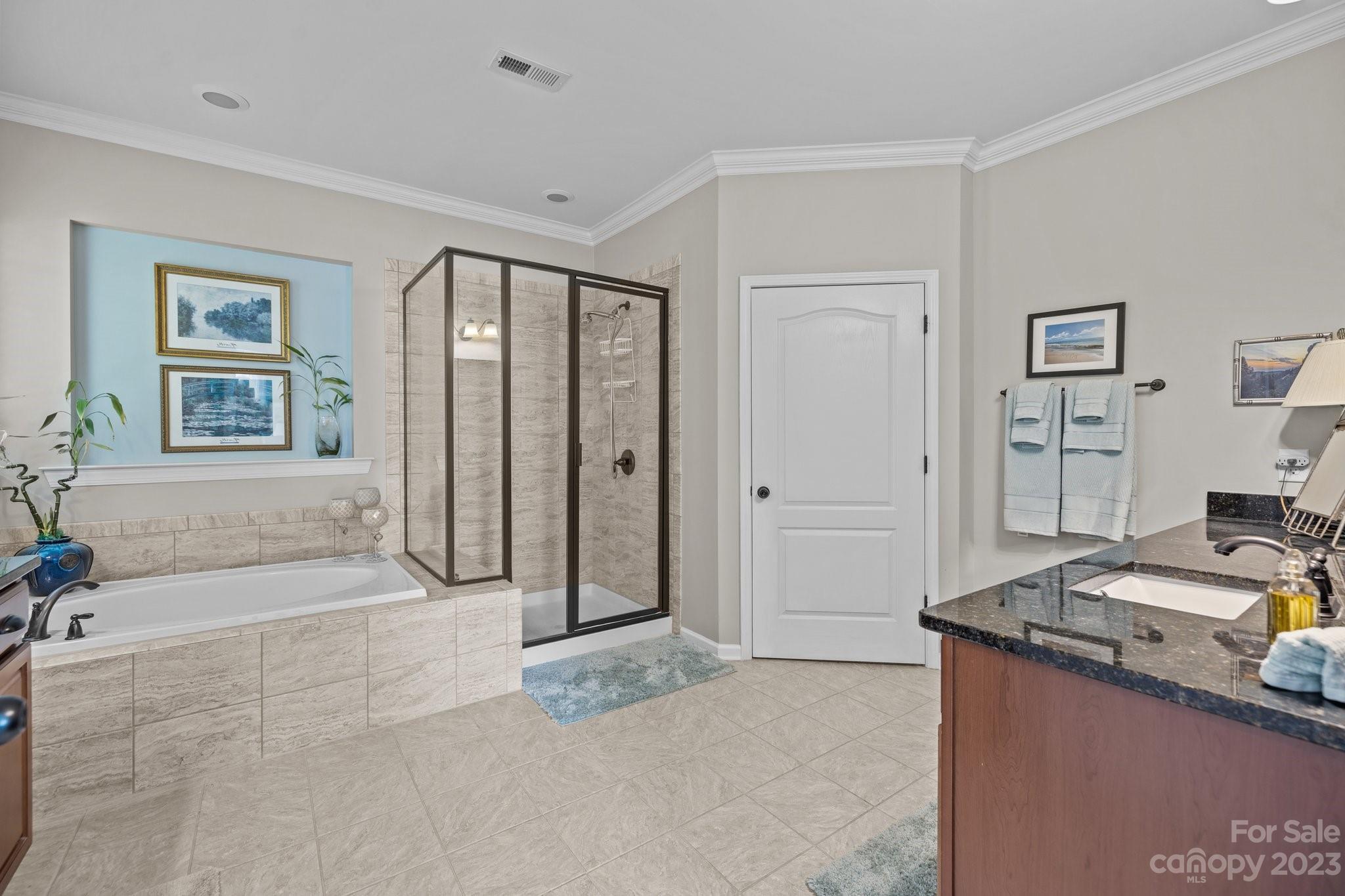 141 Hawks Creek Parkway Fort Mill, SC 29708 - Photo 20 of 44 a spacious bedroom with a granite countertop sink and a mirror