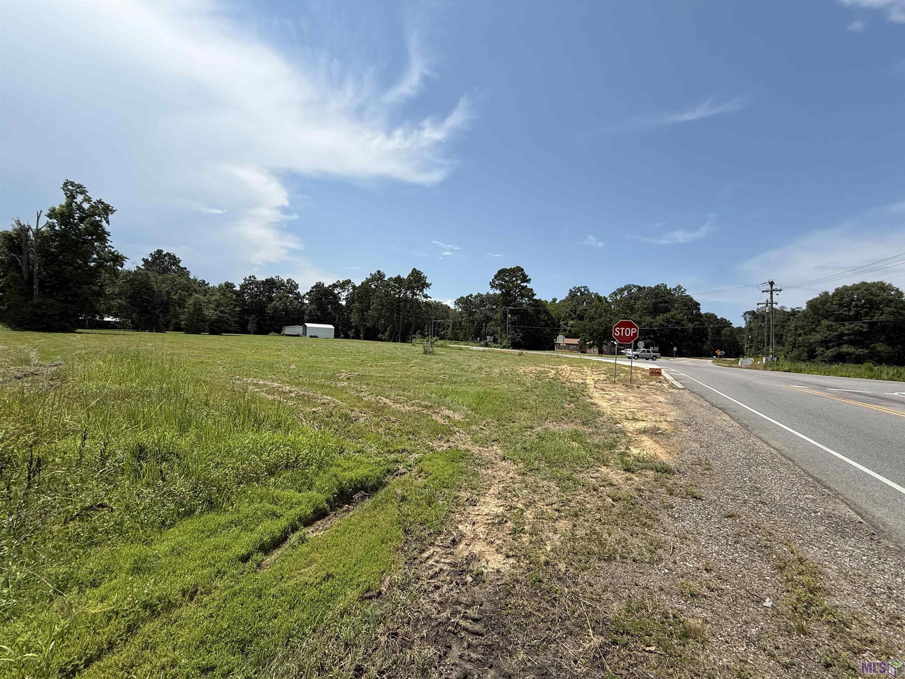 Tbd Tbd Springfield Road Walker, LA 70785 - Photo 2 of 7