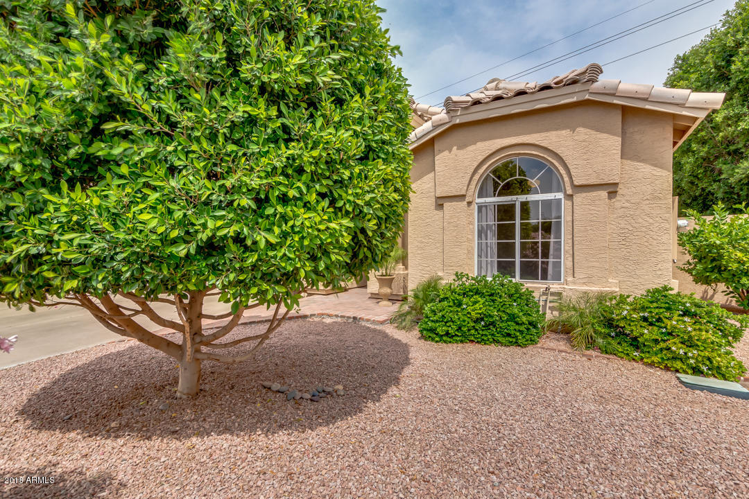 806 West Shellfish Drive Gilbert, AZ 85233 - Photo 3 of 38 03-Shellfish