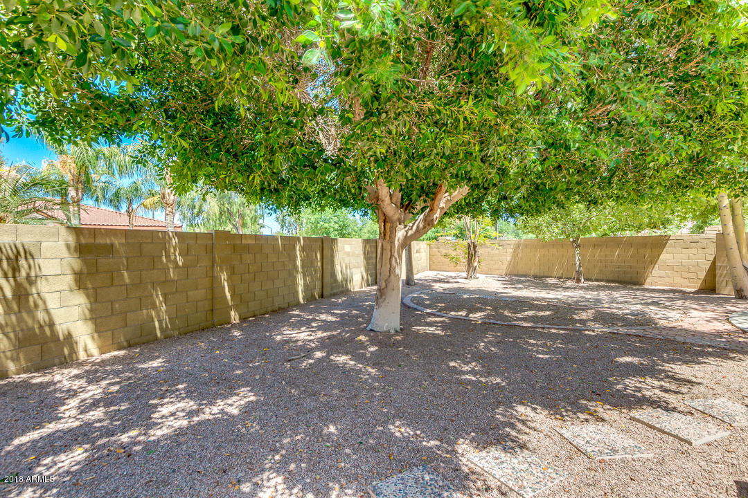 806 West Shellfish Drive Gilbert, AZ 85233 - Photo 36 of 38 37-Shellfish