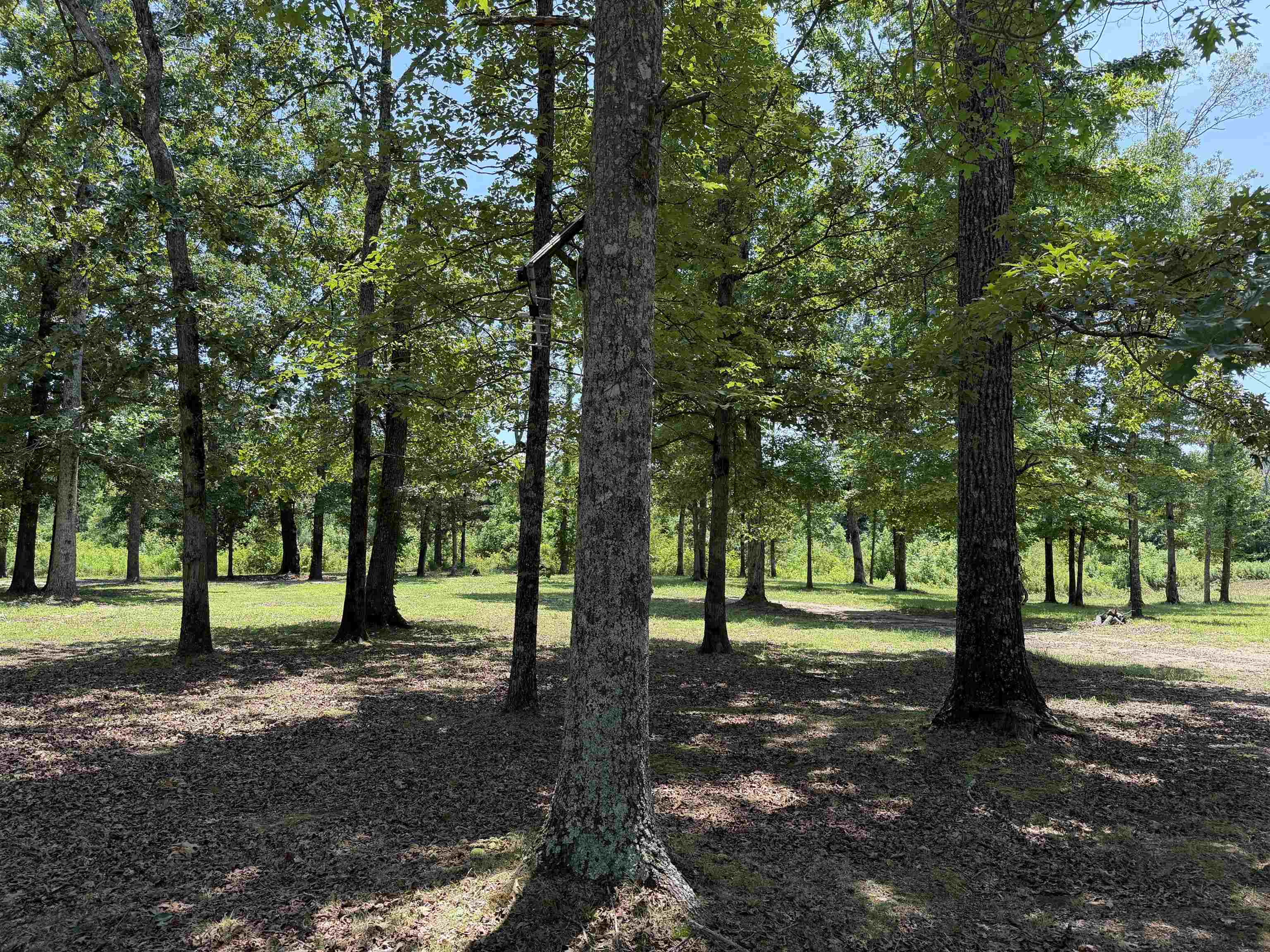 730 Old Union Road Adamsville, TN 38310 - Photo 35 of 40