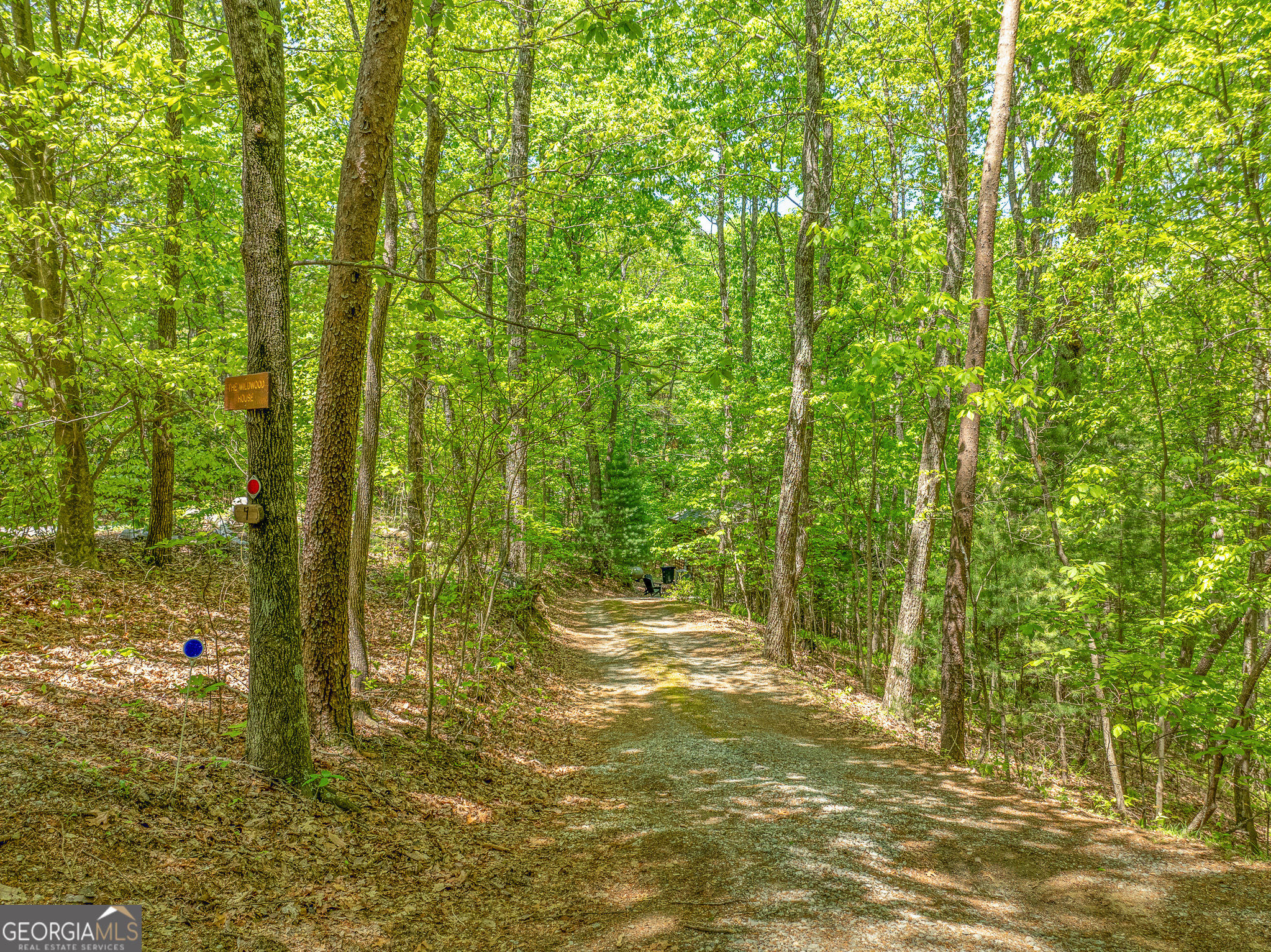 7 Ascherman Court Blue Ridge, GA 30513 - Photo 41 of 41 a view of outdoor space and yard