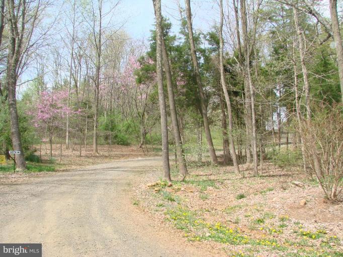 Road leading to property