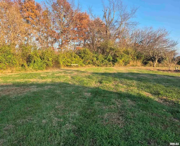 a view of a field with an ocean