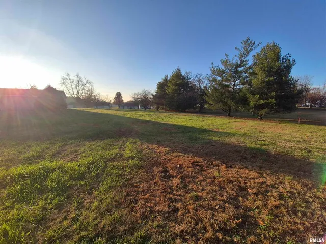 a view of yard with green space and trees all around