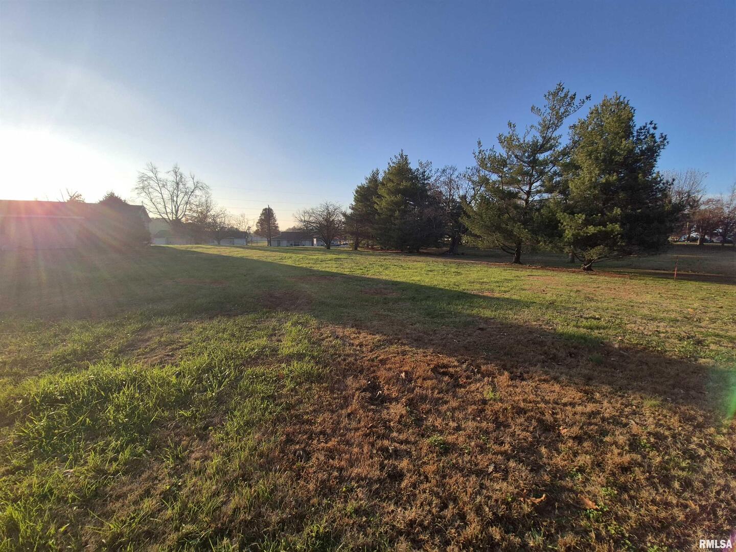 1100 Moore Street Eldorado, IL 62930 - Photo 19 of 20 a big yard with lots of green space