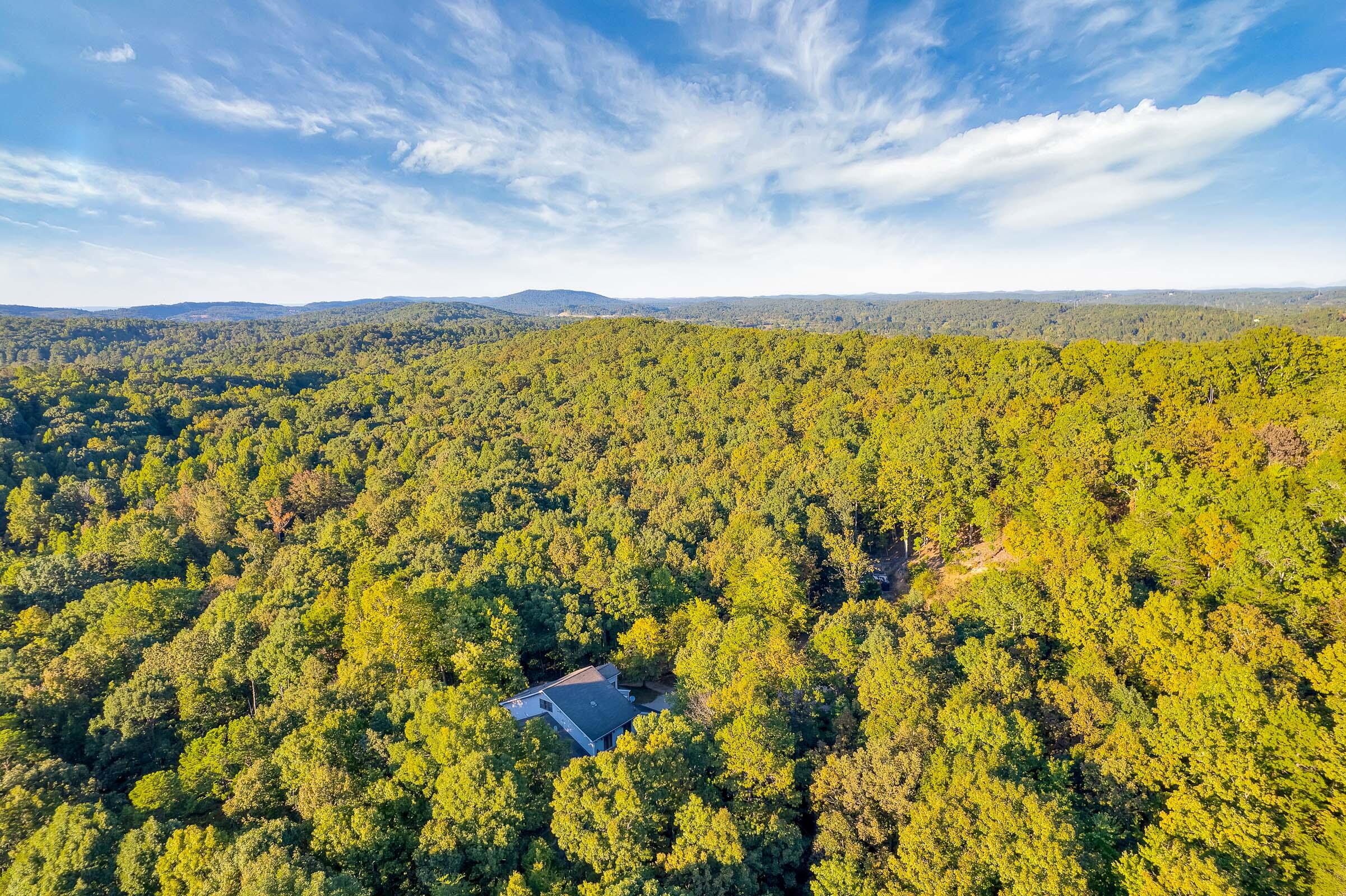 1346 Quail Valley Trail Apison, TN 37302 - Photo 13 of 65 1346-Quail-Valley-Trail-MLS-Photos-2