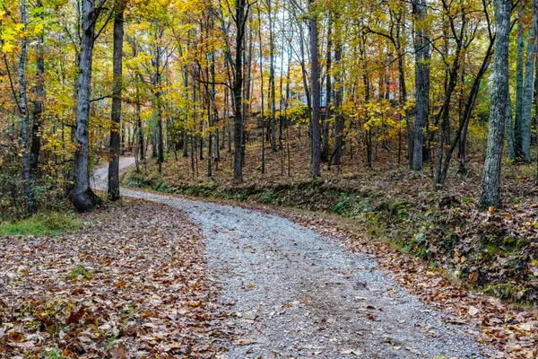 $1,000,000 | 1346 Quail Valley Trail, Apison, TN 37302