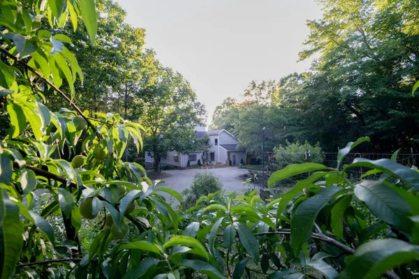 $1,000,000 | 1346 Quail Valley Trail, Apison, TN 37302