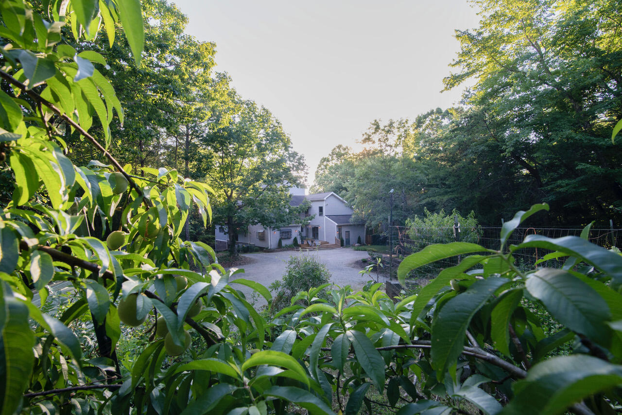 1346 Quail Valley Trail Apison, TN 37302 - Photo 49 of 65 W Peaches DSC03942 copy