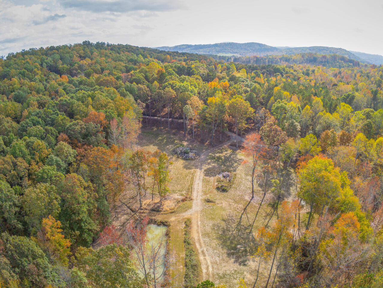 1346 Quail Valley Trail Apison, TN 37302 - Photo 5 of 65 Pasture / Pond