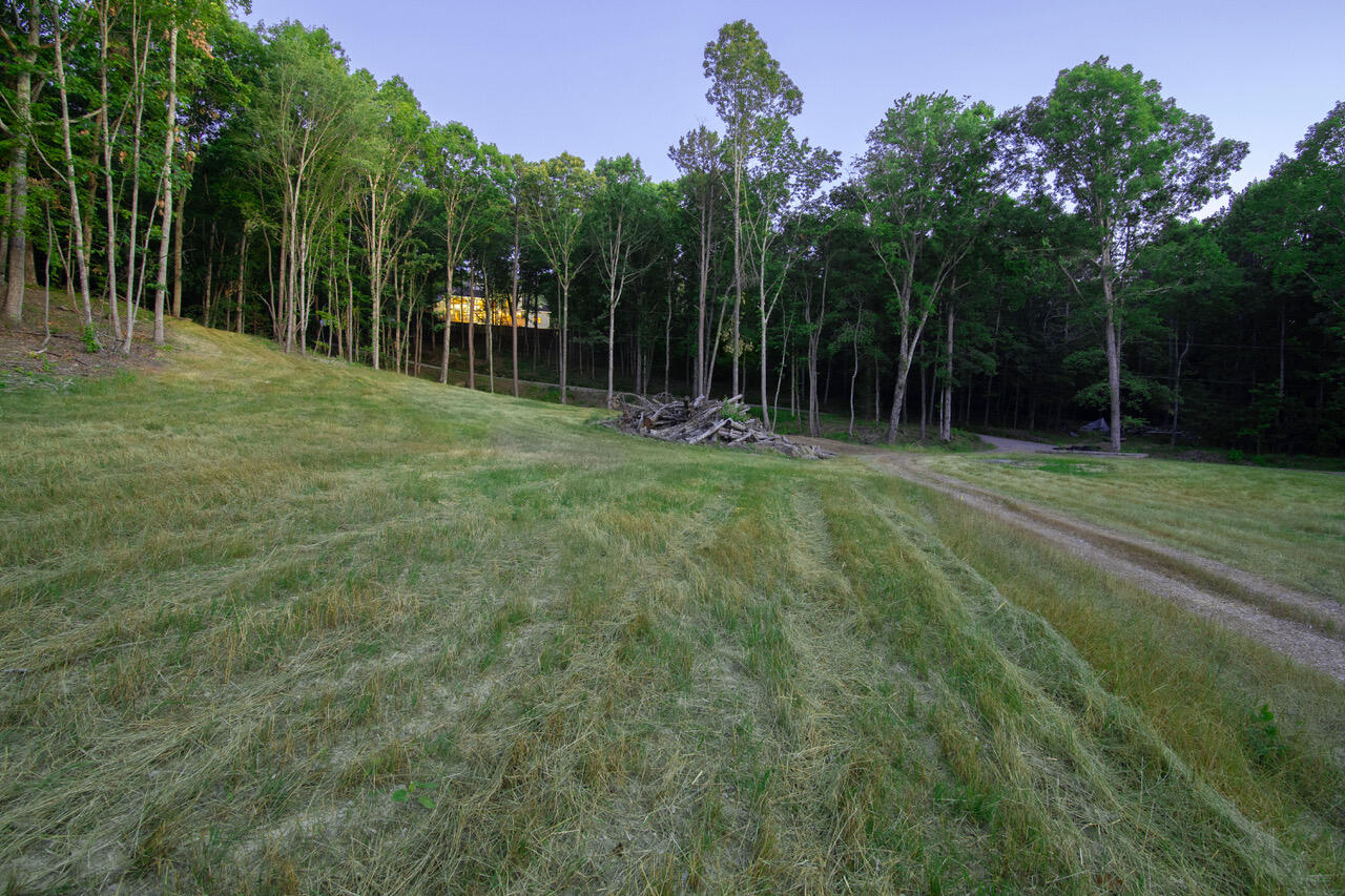 1346 Quail Valley Trail Apison, TN 37302 - Photo 7 of 65 Cleared Land 1