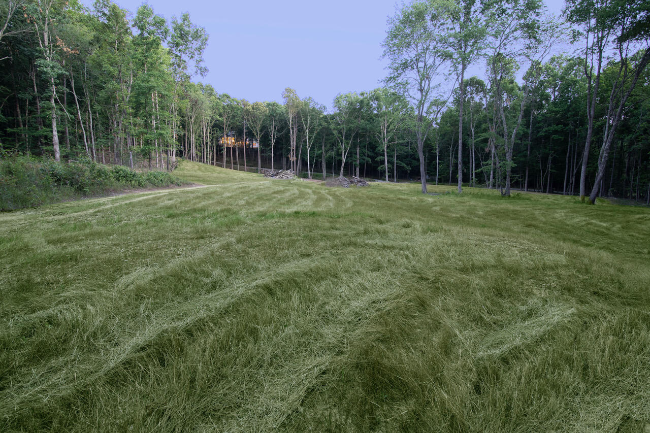 1346 Quail Valley Trail Apison, TN 37302 - Photo 8 of 65 Cleared Land 2