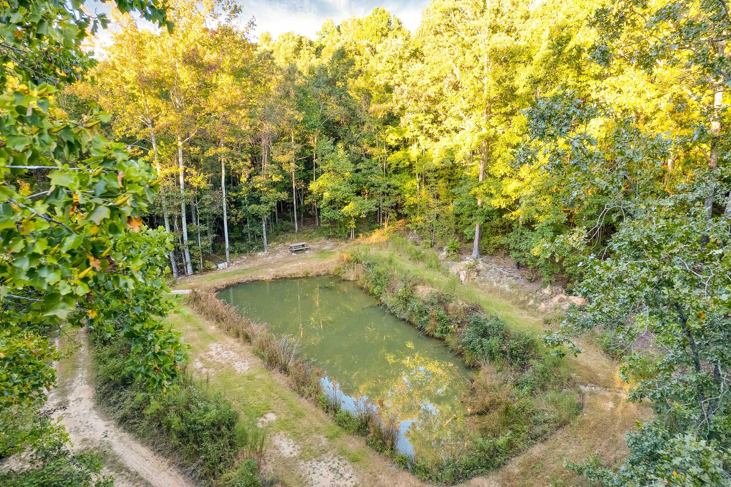 1346 Quail Valley Trail Apison, TN 37302 - Photo 9 of 65 1346-Quail-Valley-Trail-MLS-Photos-6