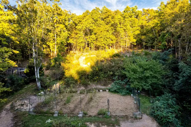 $1,125,000 | 1346 Quail Valley Trail, Apison, TN 37302