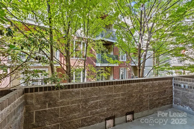 a view of a pathway with a tree