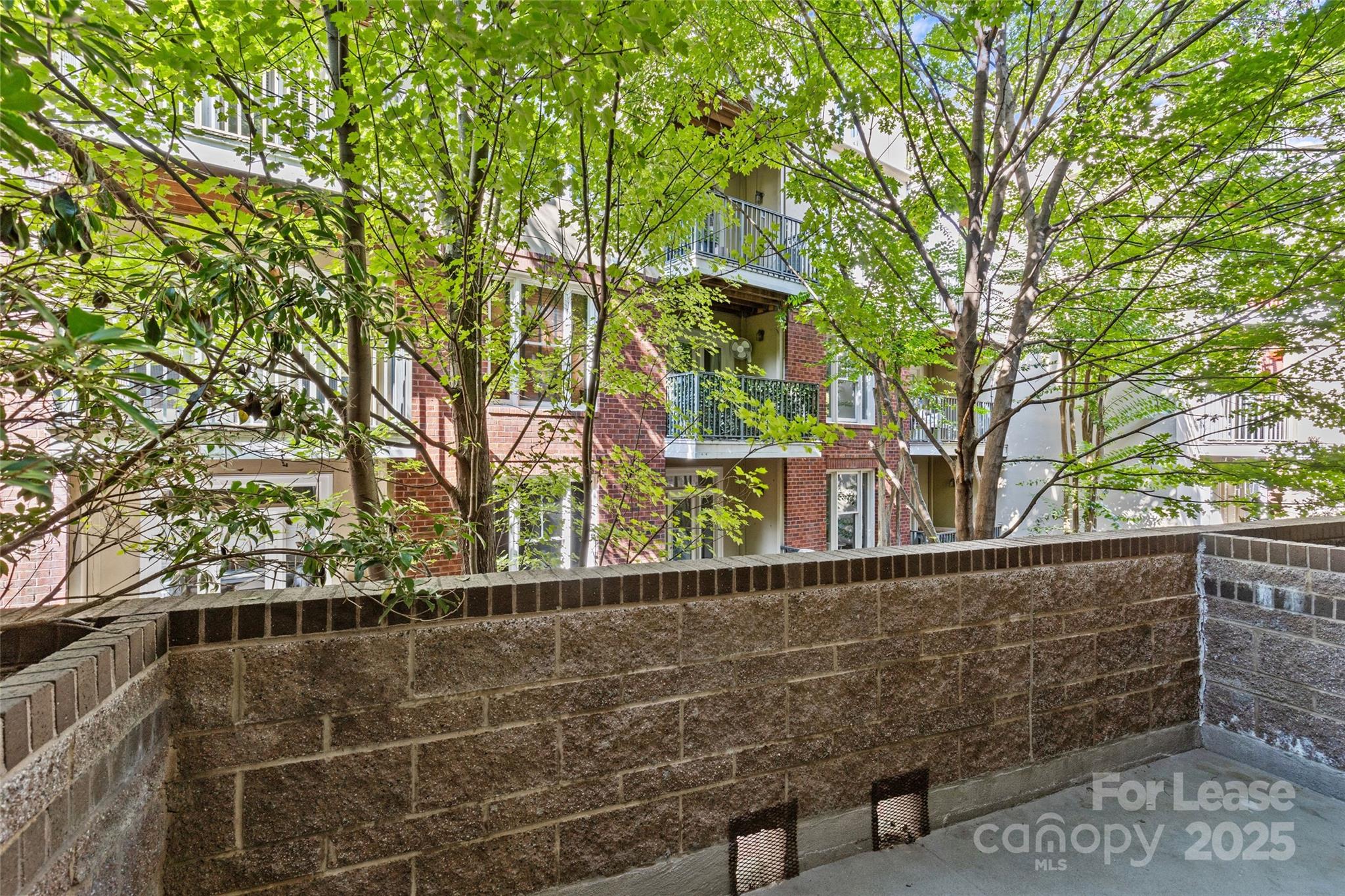 420 Queens Road, Unit 7 Charlotte, NC 28207 - Photo 27 of 46 a view of a pathway with a tree