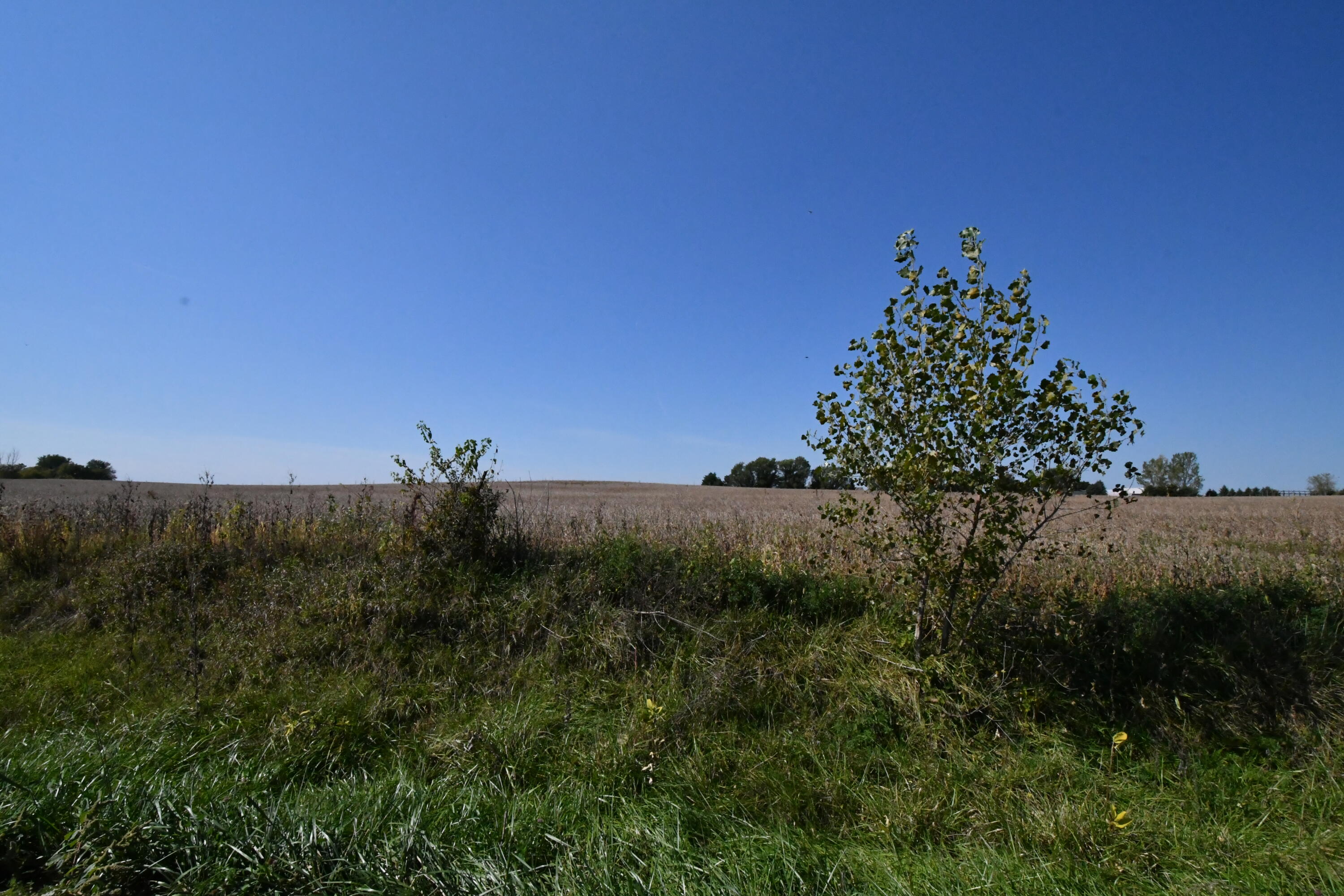 Lt46 Karau Avenue Ripon, WI 54971 - Photo 6 of 6 DSC_9116