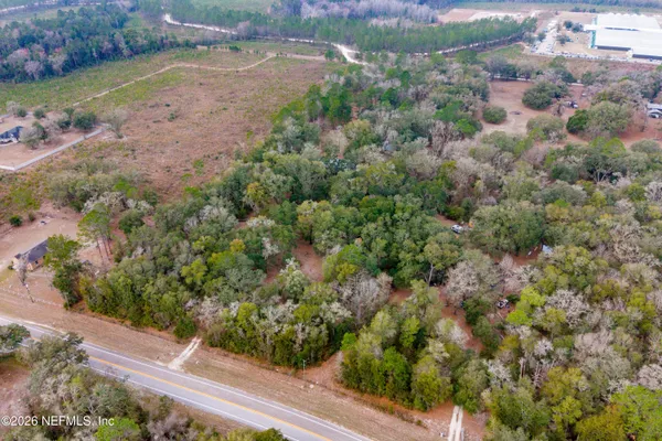 a view of a garden with a lot of flower plants