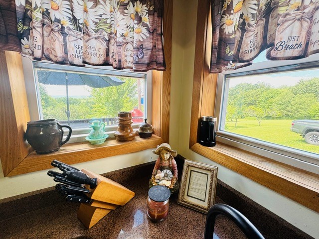 31 Myslivecek Road Lowman, NY 14861 - Photo 4 of 50