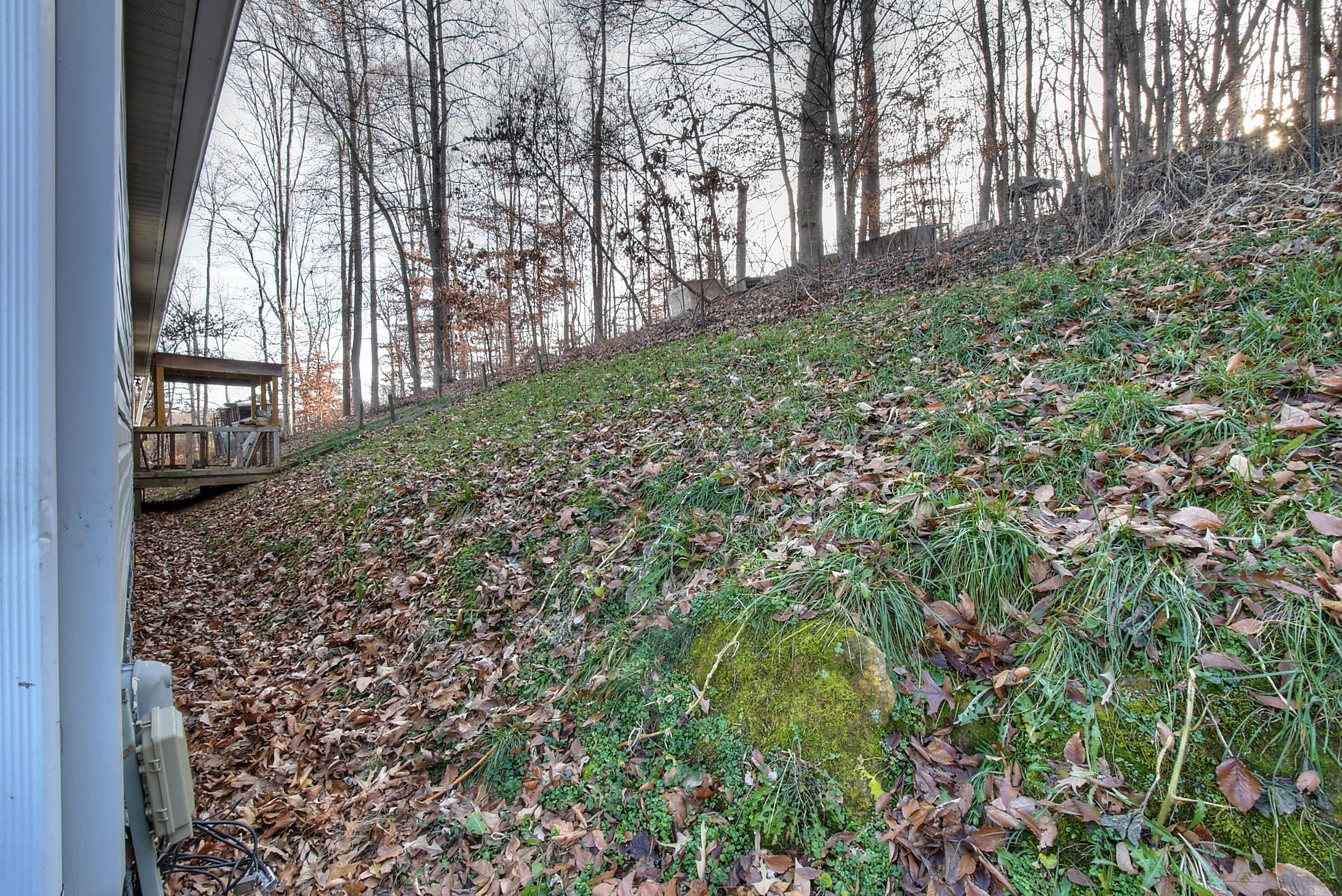 1300 Egypt Road Bluff City, TN 37618 - Photo 7 of 31 DSC_0043_4_5_6_7_8