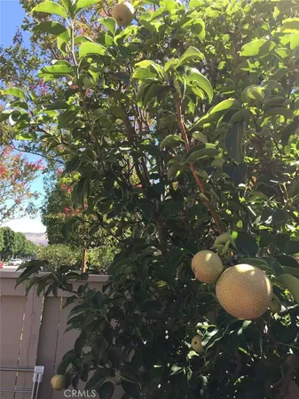 $1,125,000 | 3 Ardmore, Irvine, CA 92602