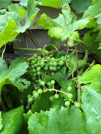 $1,125,000 | 3 Ardmore, Irvine, CA 92602