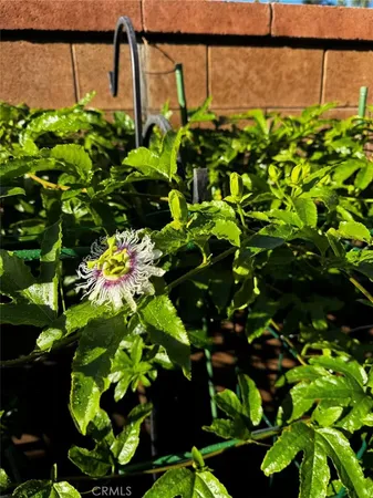 $1,125,000 | 3 Ardmore, Irvine, CA 92602