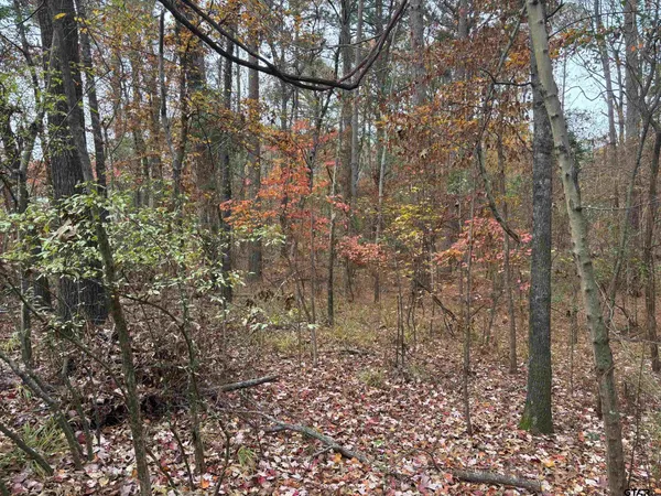 $20,000 | Tbd Porsche Drive, Flint, TX 75762