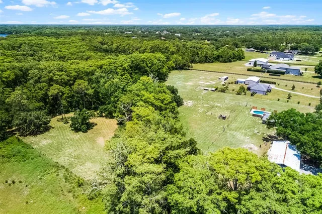 a view of a garden with trees