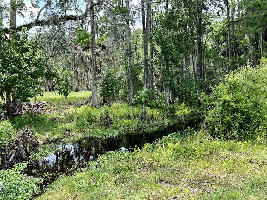 1508 Lake Mills Road Chuluota, FL 32766 - Photo 19 of 37 a view of a garden with trees
