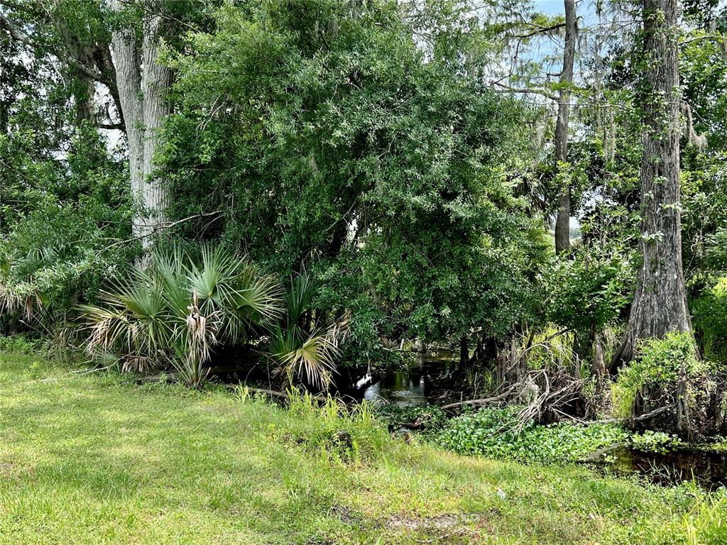 1508 Lake Mills Road Chuluota, FL 32766 - Photo 20 of 37 a view of a garden