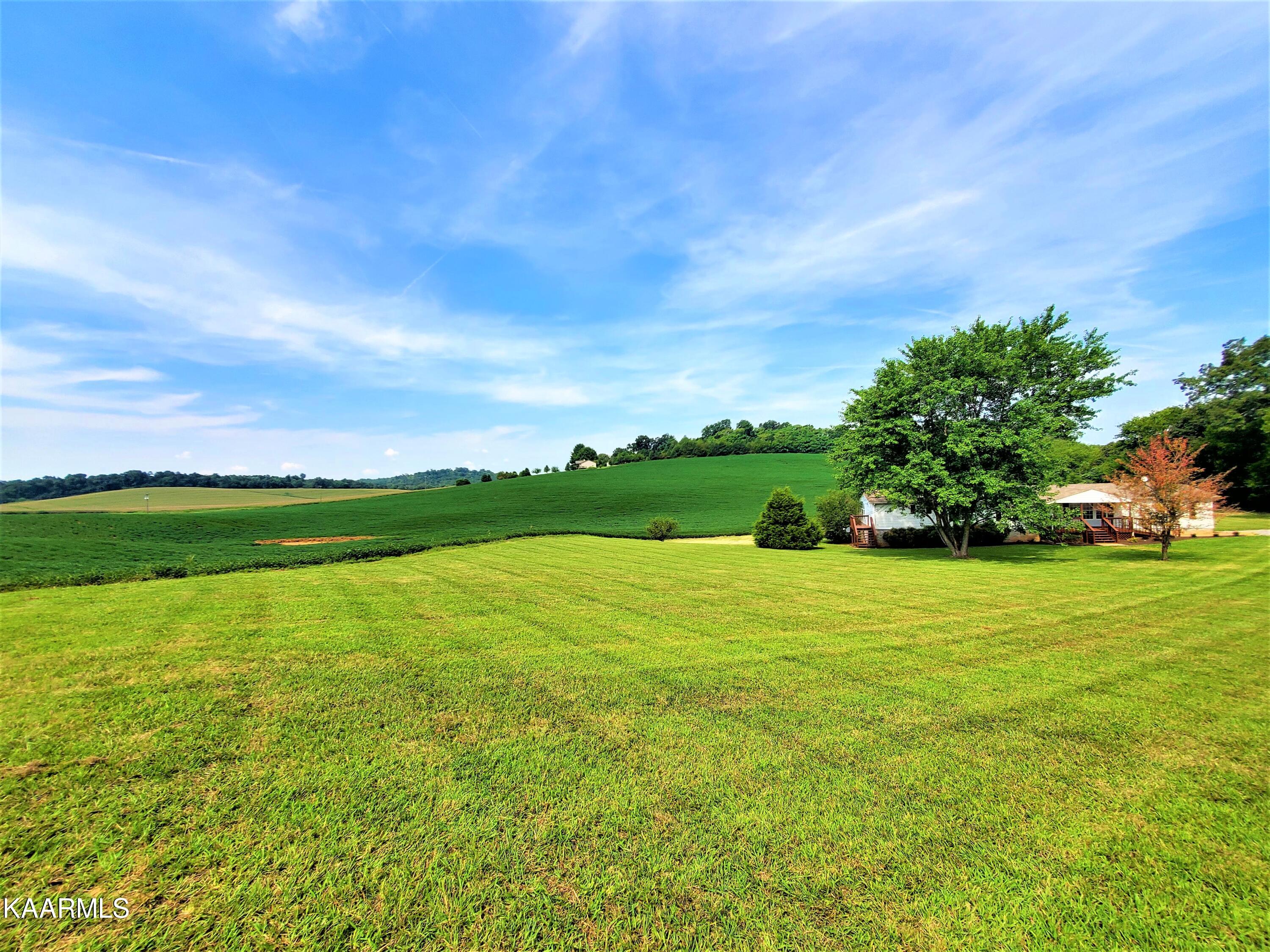 28759 Highway 95 Greenback, TN 37742 - Photo 30 of 34 VIEW of Land & Soybean Farm